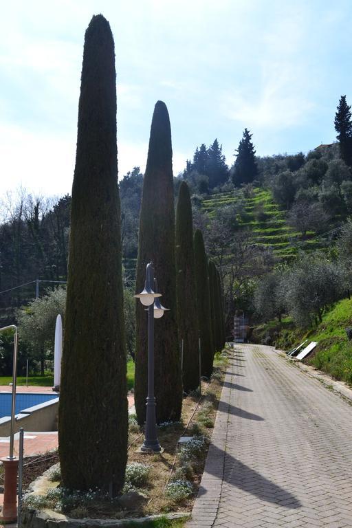 Monte A
